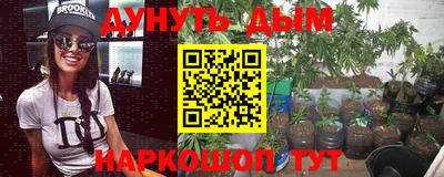 прущие грибы Будённовск