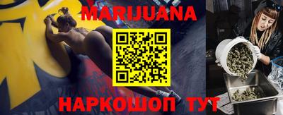 прущие грибы Будённовск