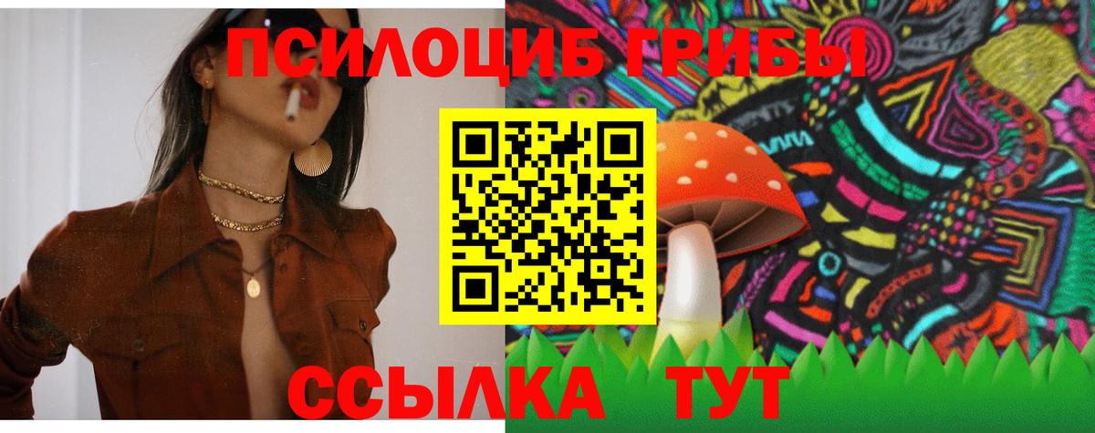 Псилоцибиновые грибы Psilocybine cubensis Карачаевск
