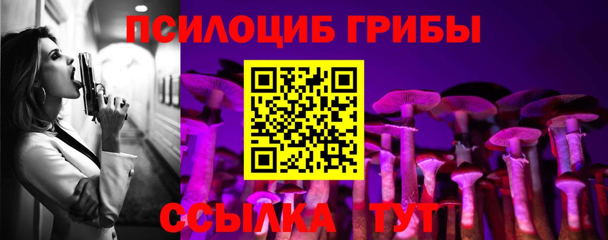 Галлюциногенные грибы прущие грибы  Вход с VPN  Карачаевск  Галлюциногенные грибы GOLDEN TEACHER 