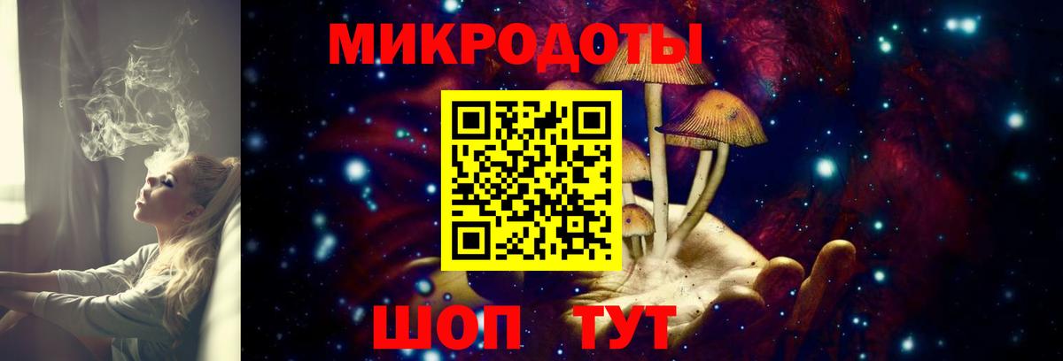 Галлюциногенные грибы Magic Shrooms Карачаевск